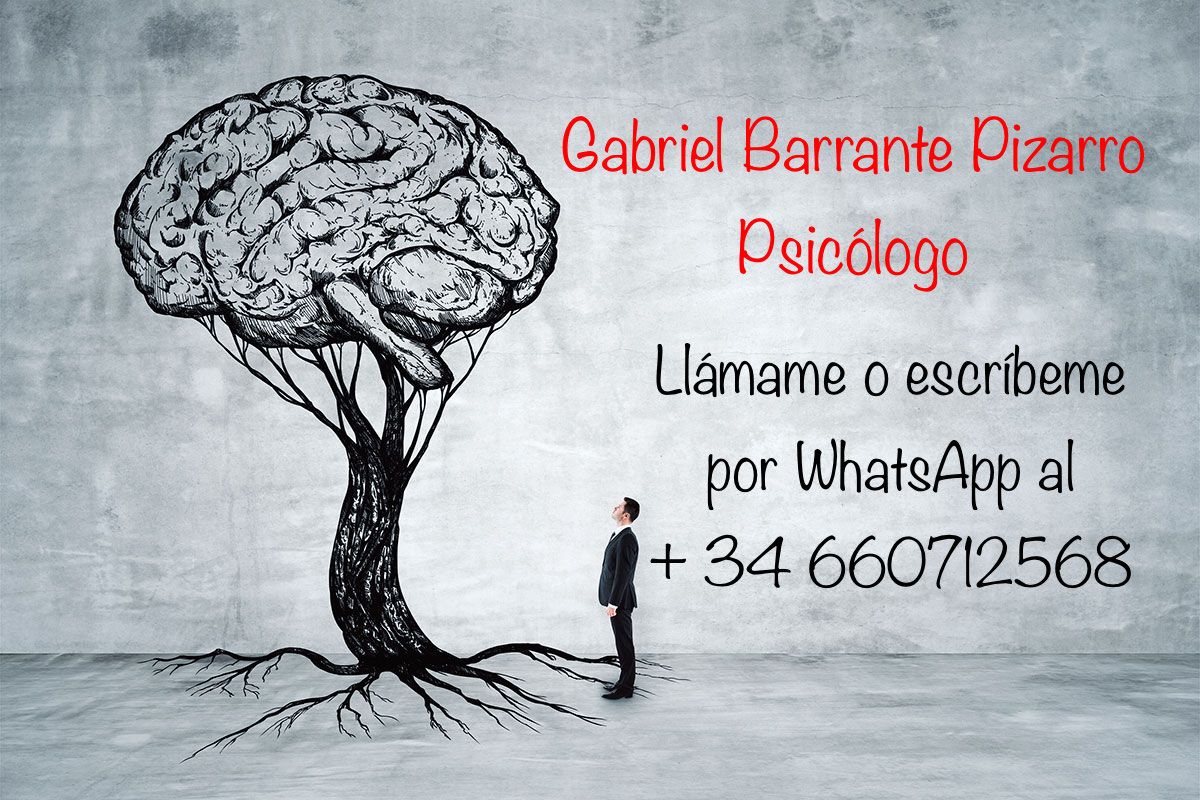 Gabriel Barrante Pizarro-2