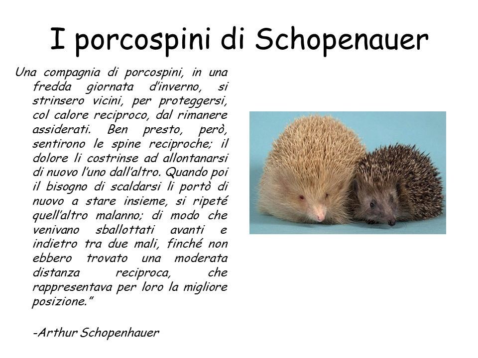 Giuseppe Mione-2