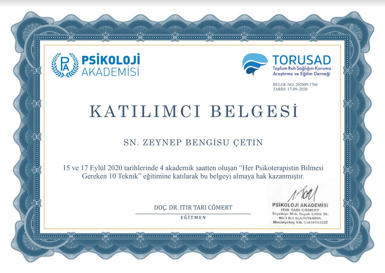 Z. Bengisu Çetin-2