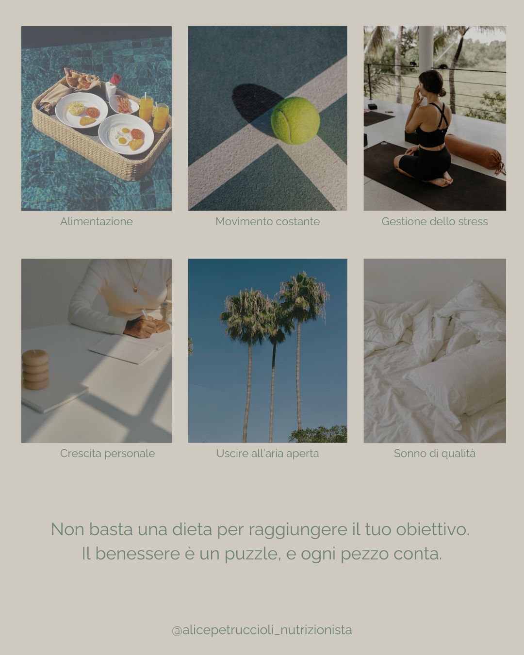 Alice Petruccioli-2