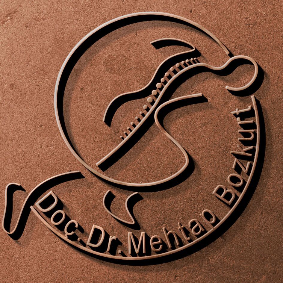 Mehtap Bozkurt-1