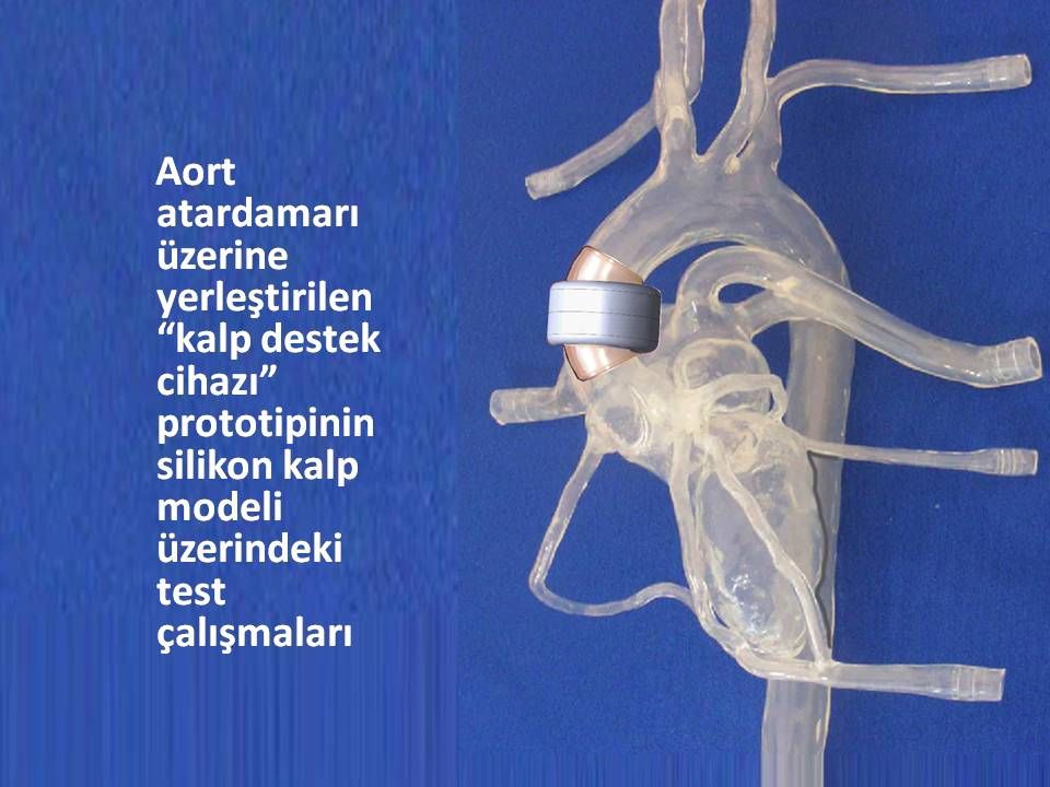 Bülent Oran-2