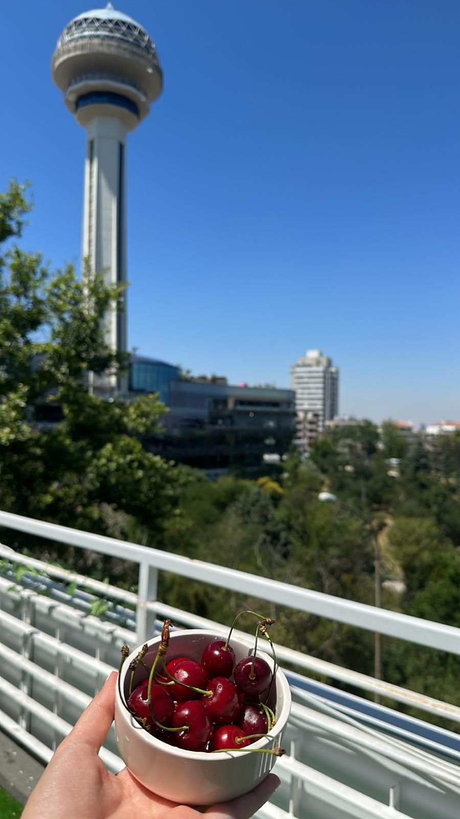 Gözde Kök-0