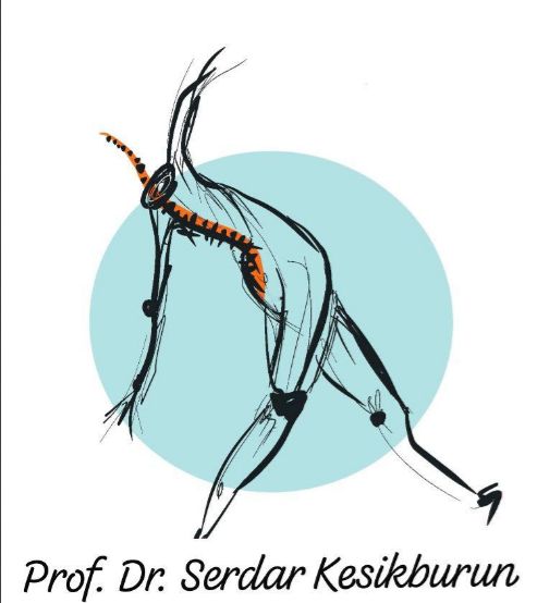 Serdar Kesikburun-0