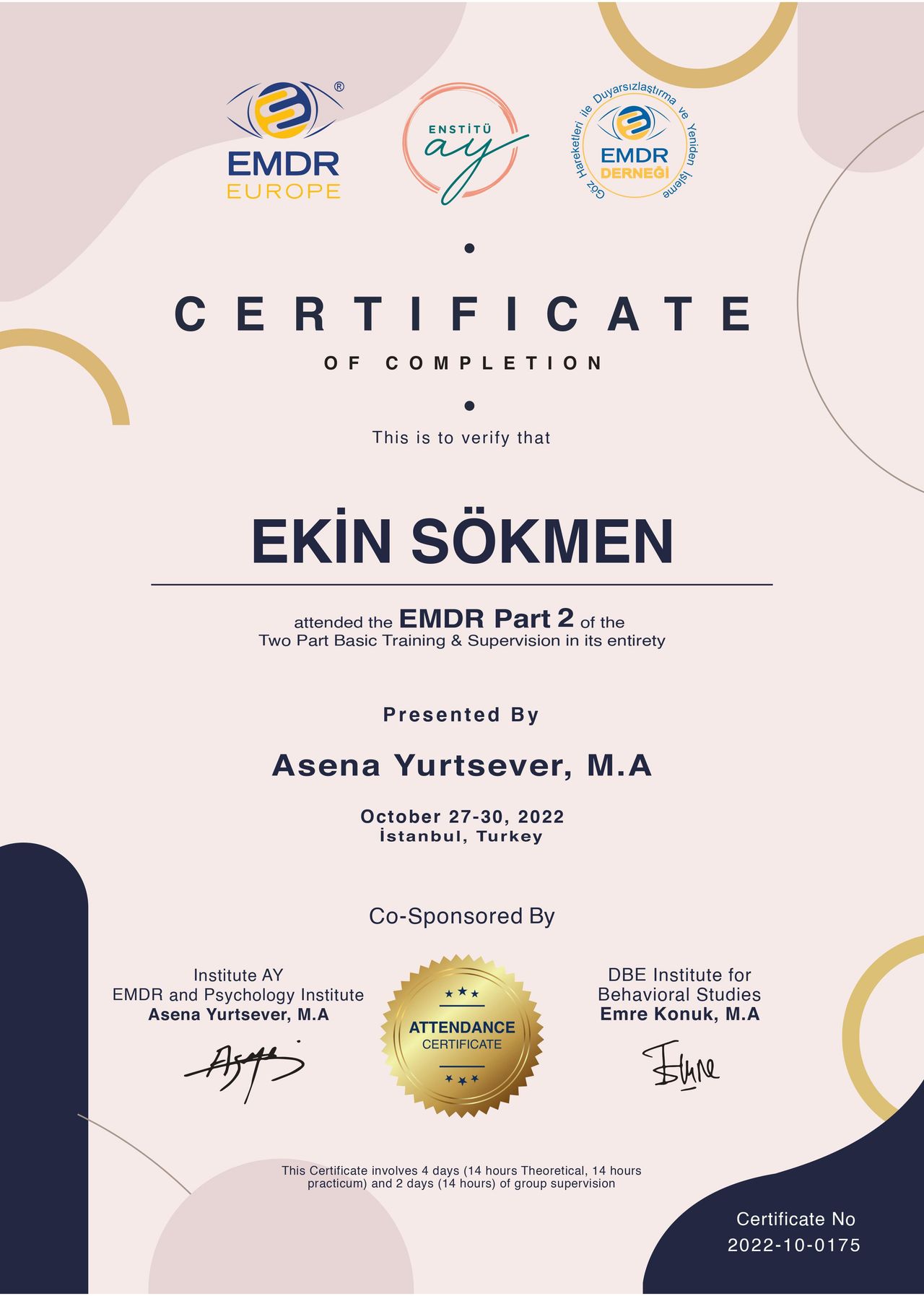 Ekin Sökmen-2