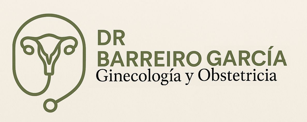 Jesús Manuel Barreiro García-0
