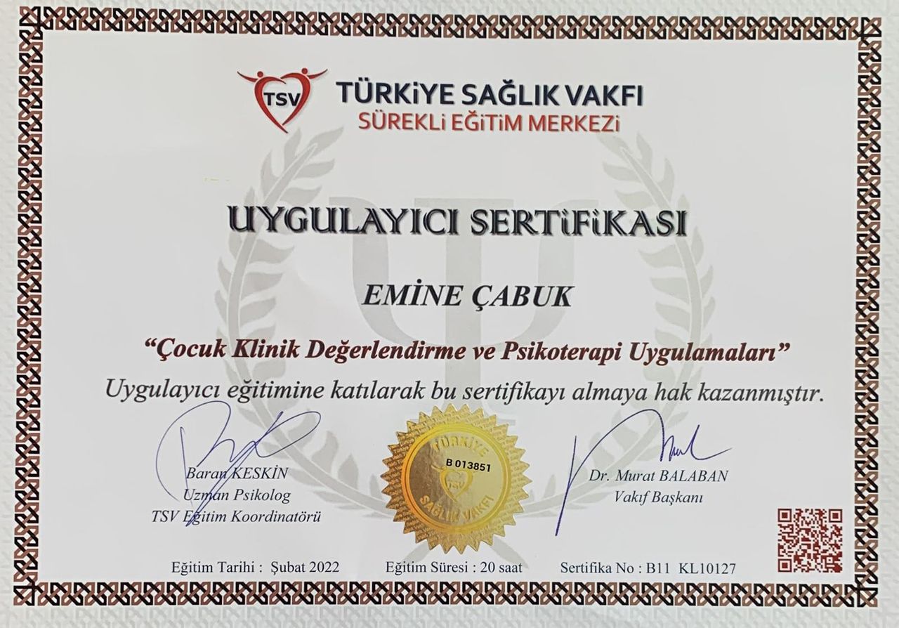 Emine Çabuk-2