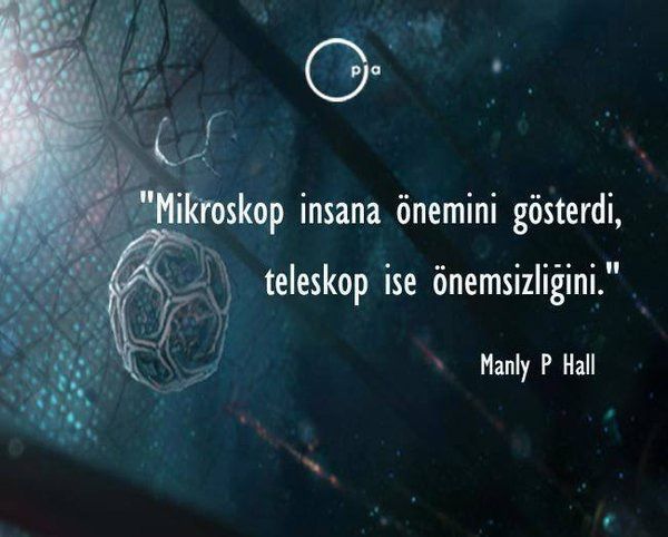 Ömer Tunç Kaya-0