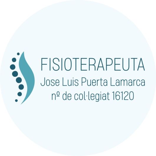 Jose Luis Puerta Lamarca-1