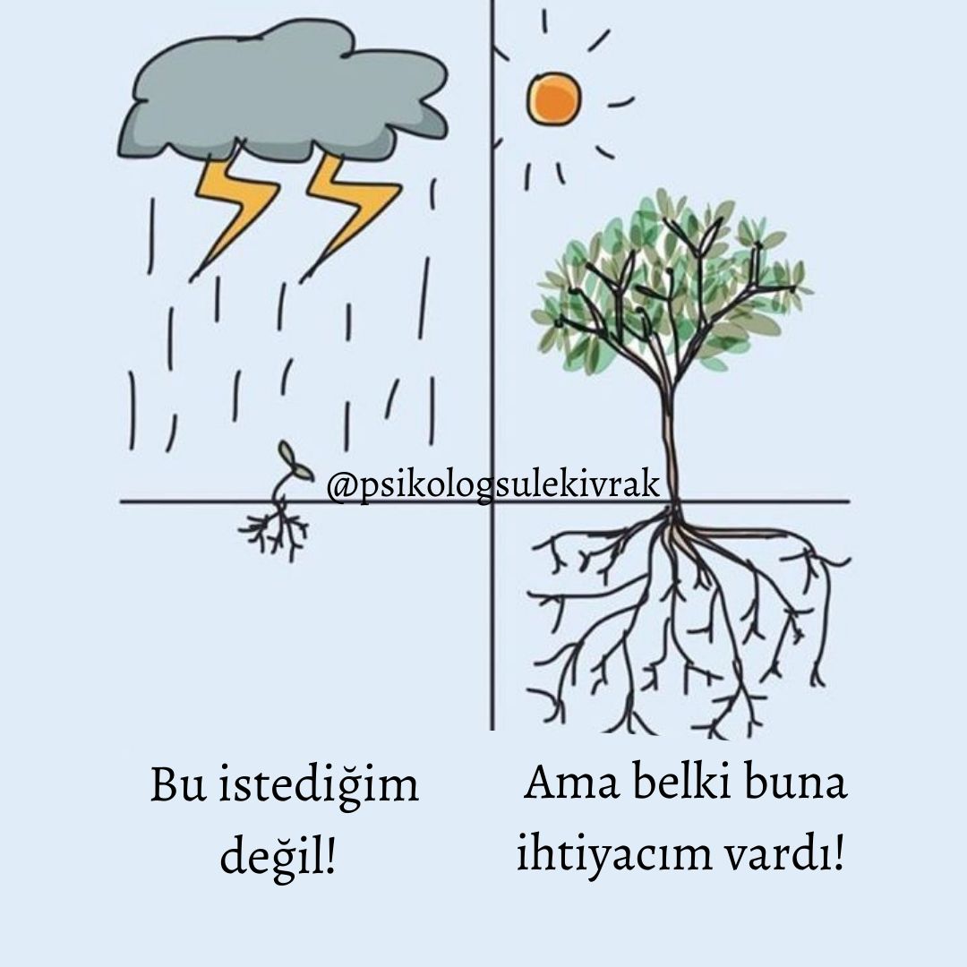 Şule Lütfiye Kıvrak-1