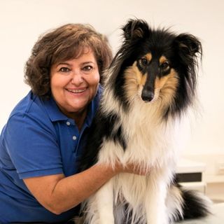 Marina Frenk, Tierarzt Bad Hönningen