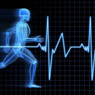 Ingrandire l'immagine: Medicina Sportiva ., medico dello sport Modena