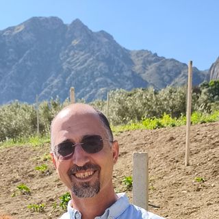 Ingrandire l'immagine: Mario Gullo, psicologo Palermo