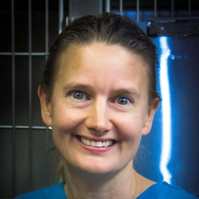 Ariane Neuber Watts, Tierarzt Königswinter