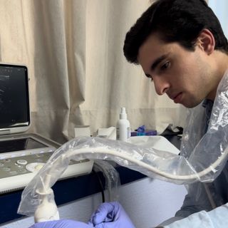 Acercar imagen: Pablo Llorente Dañino, Fisioterapeuta Madrid