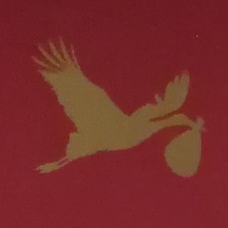 Bild vergrößern: Margarete Sommer, Hebamme Rosdorf