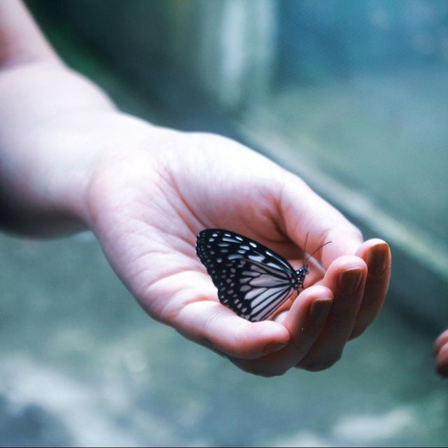 Kirsten Iden, Kinder- und Jugendlichenpsychotherapeut Lübeck