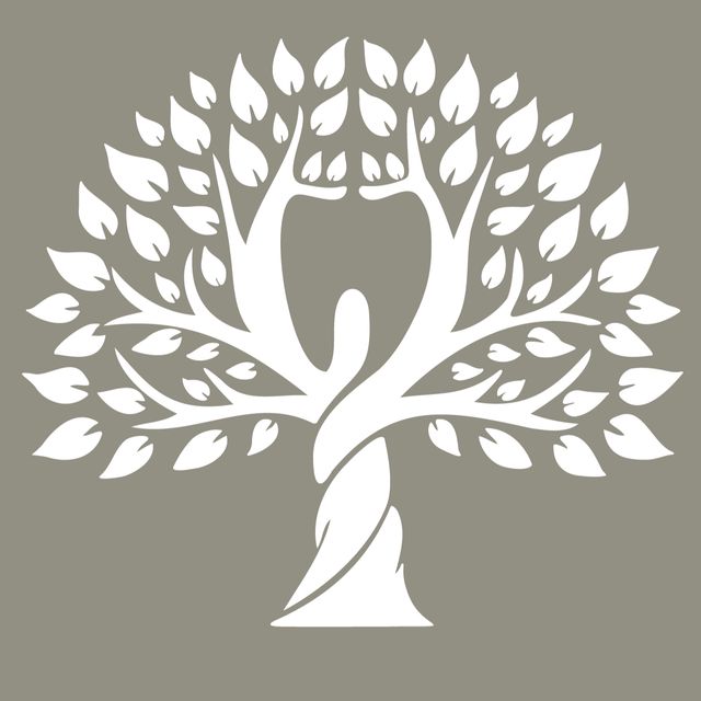 Irene Seibel, Zahnarzt Celle