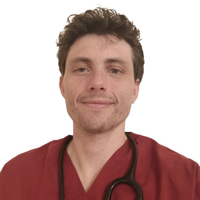 Federico Flamini, endocrinologo Bracciano