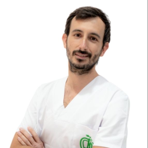 Pedro Toledo Viamonte, Dentista Zaragoza