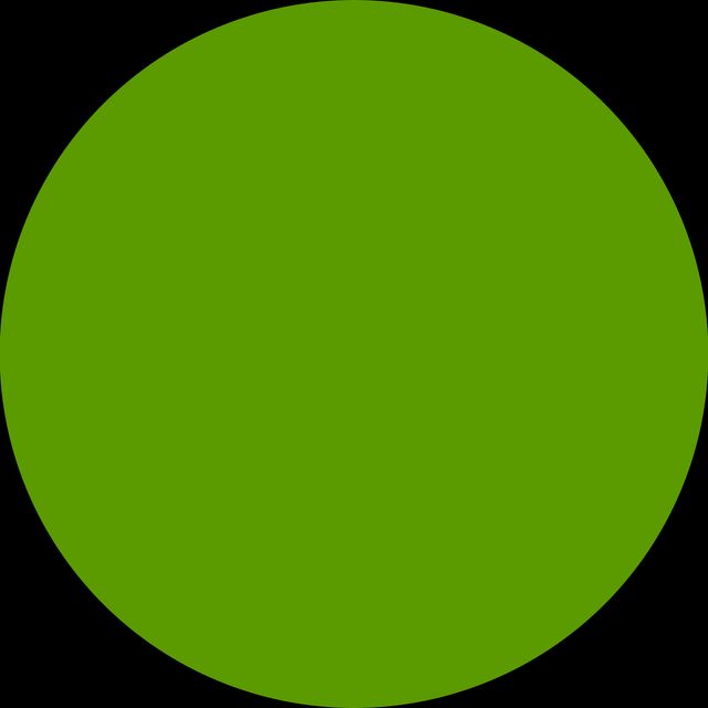 Ava Theissler, Heilpraktiker München