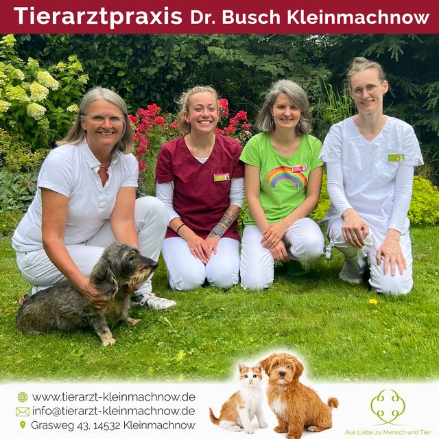 Ute Busch, Tierarzt Kleinmachnow