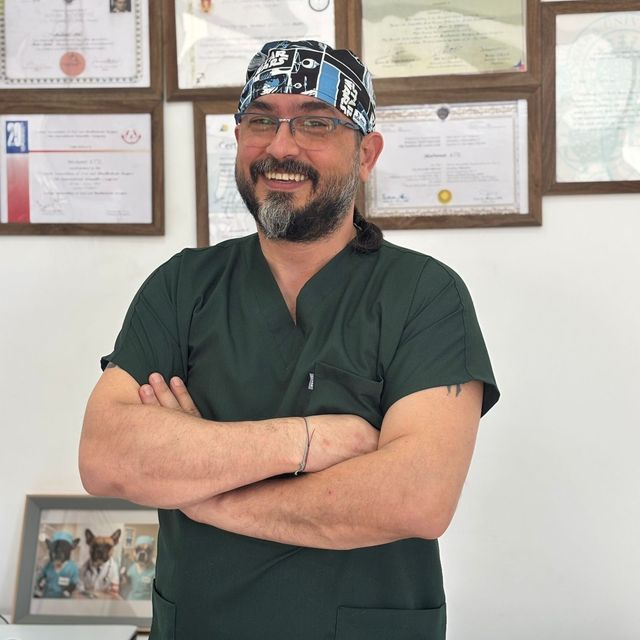 Mehmet Atıl, Diş Hekimi İstanbul