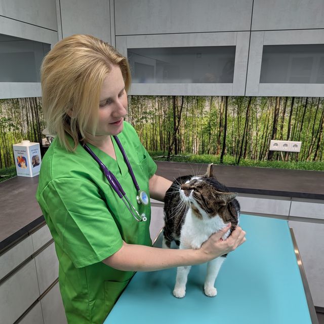 Silvia Unglaube, Tierarzt Bad Sulza