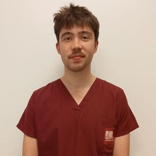 Niccolò Brambilla, fisioterapista Arcore