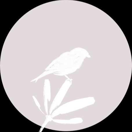 Ava Theissler, Heilpraktiker München