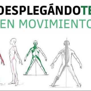 Acercar imagen: Alejandro Reinoso Aguilera, Fisioterapeuta Granada