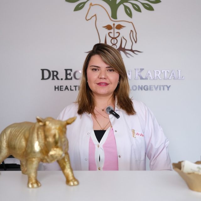 Ece Elvan Kartal Apaydın, Ozon Terapi Çanakkale