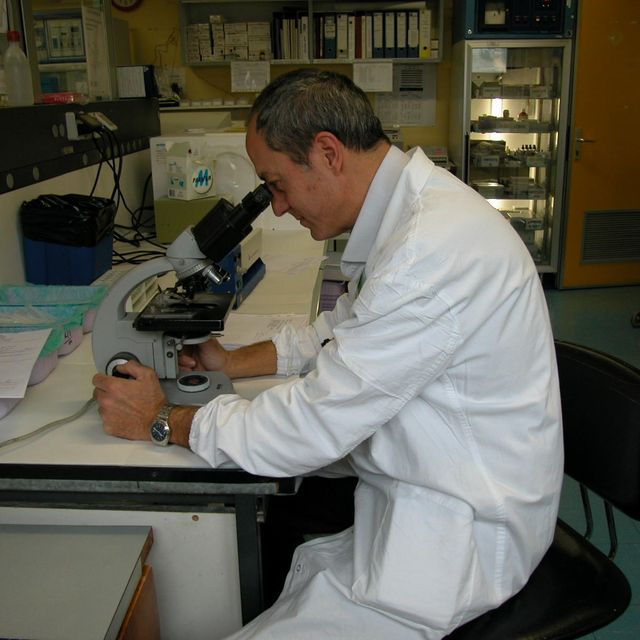 Germano Aronica, ematologo Lido Di Ostia