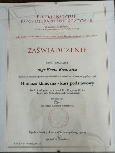 Powiększ obraz: certificate 2