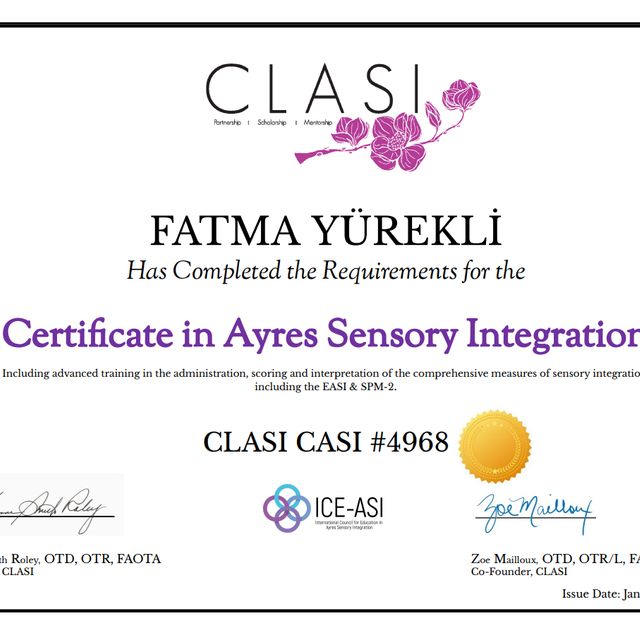 Resmi büyüt: certificate 1