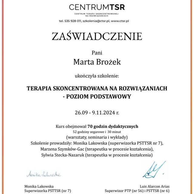 Powiększ obraz: certificate 2