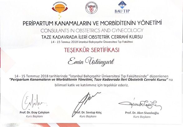 Resmi büyüt: certificate 5