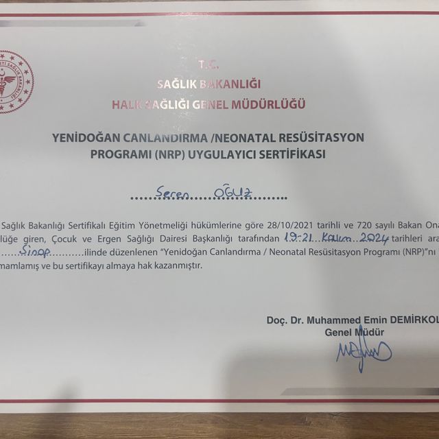 Resmi büyüt: certificate 1