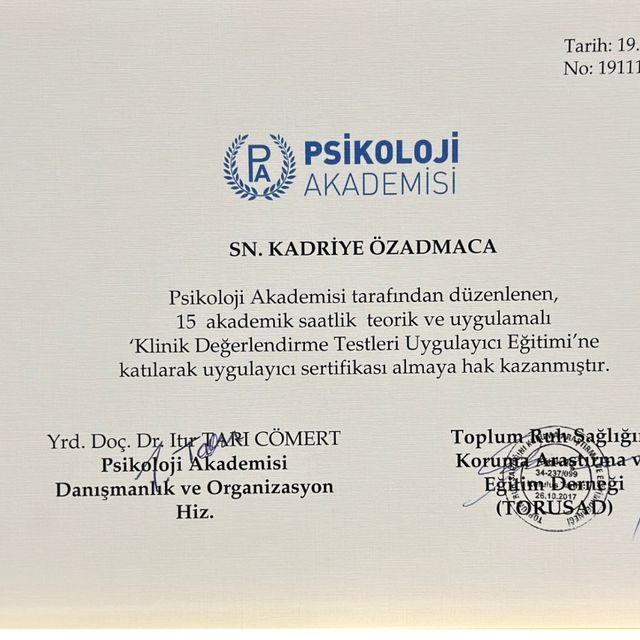 Resmi büyüt: certificate 45