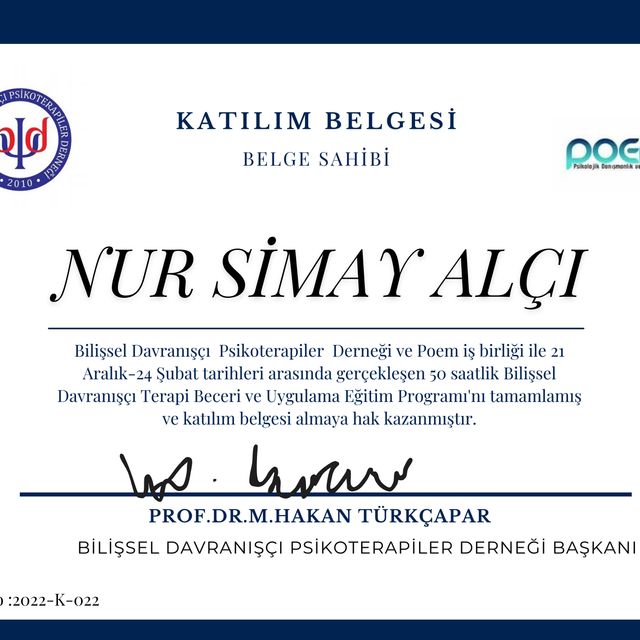 Resmi büyüt: certificate 1