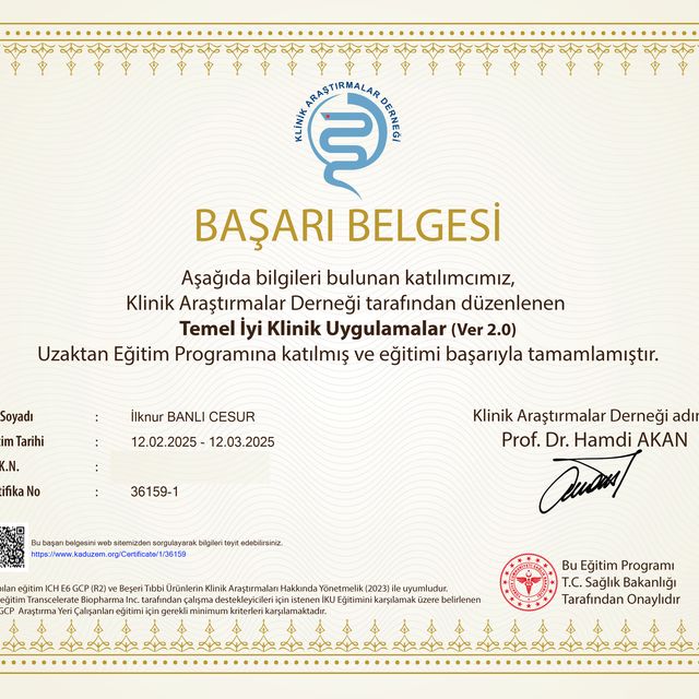 Resmi büyüt: certificate 2