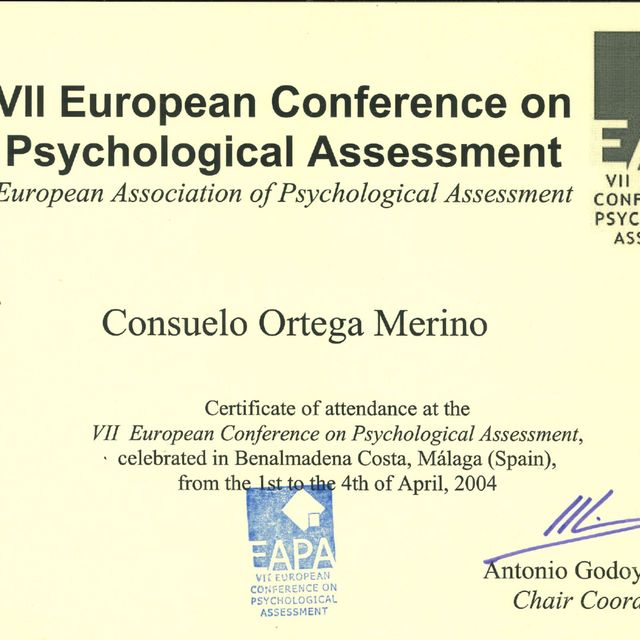 Acercar imagen: certificate 6