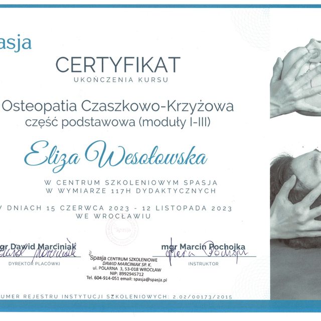 Powiększ obraz: certificate 11