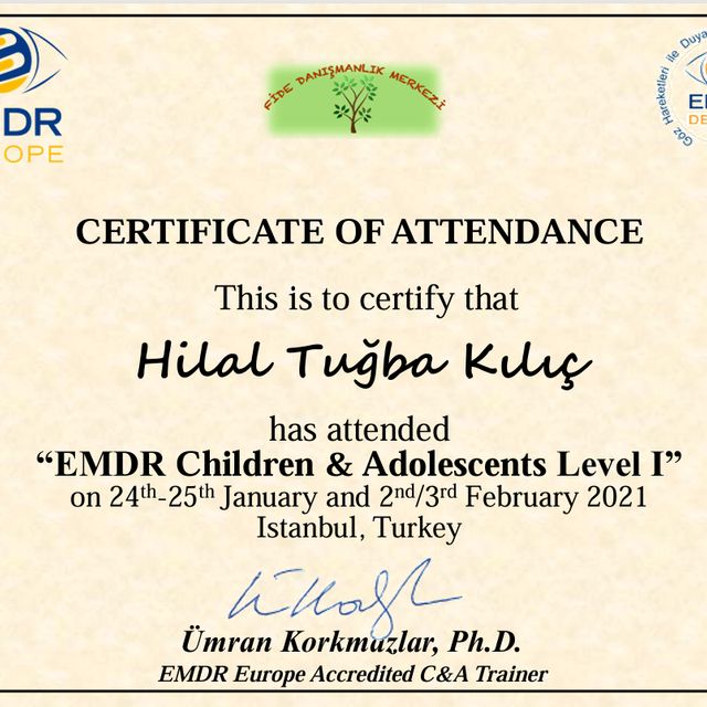 Resmi büyüt: certificate 1