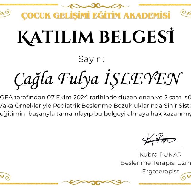 Resmi büyüt: certificate 10