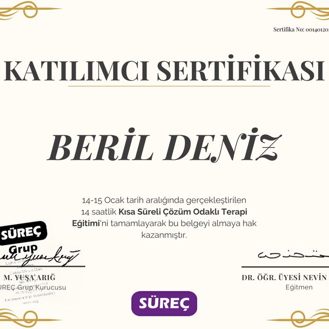 Resmi büyüt: certificate 3