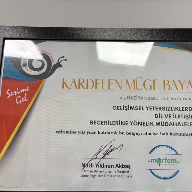 Resmi büyüt: certificate 5