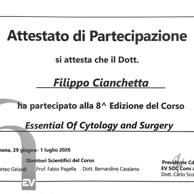 Ingrandire l'immagine: certificate 12