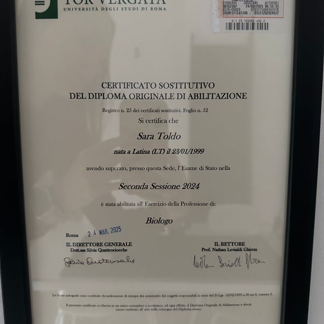 Ingrandire l'immagine: certificate 3