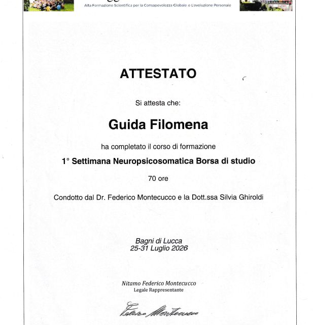 Ingrandire l'immagine: certificate 11